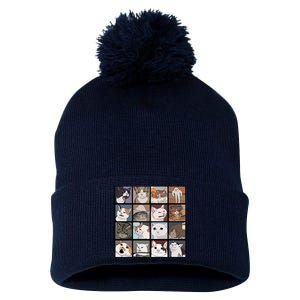 Funny Cats Meme Pom Pom 12in Knit Beanie