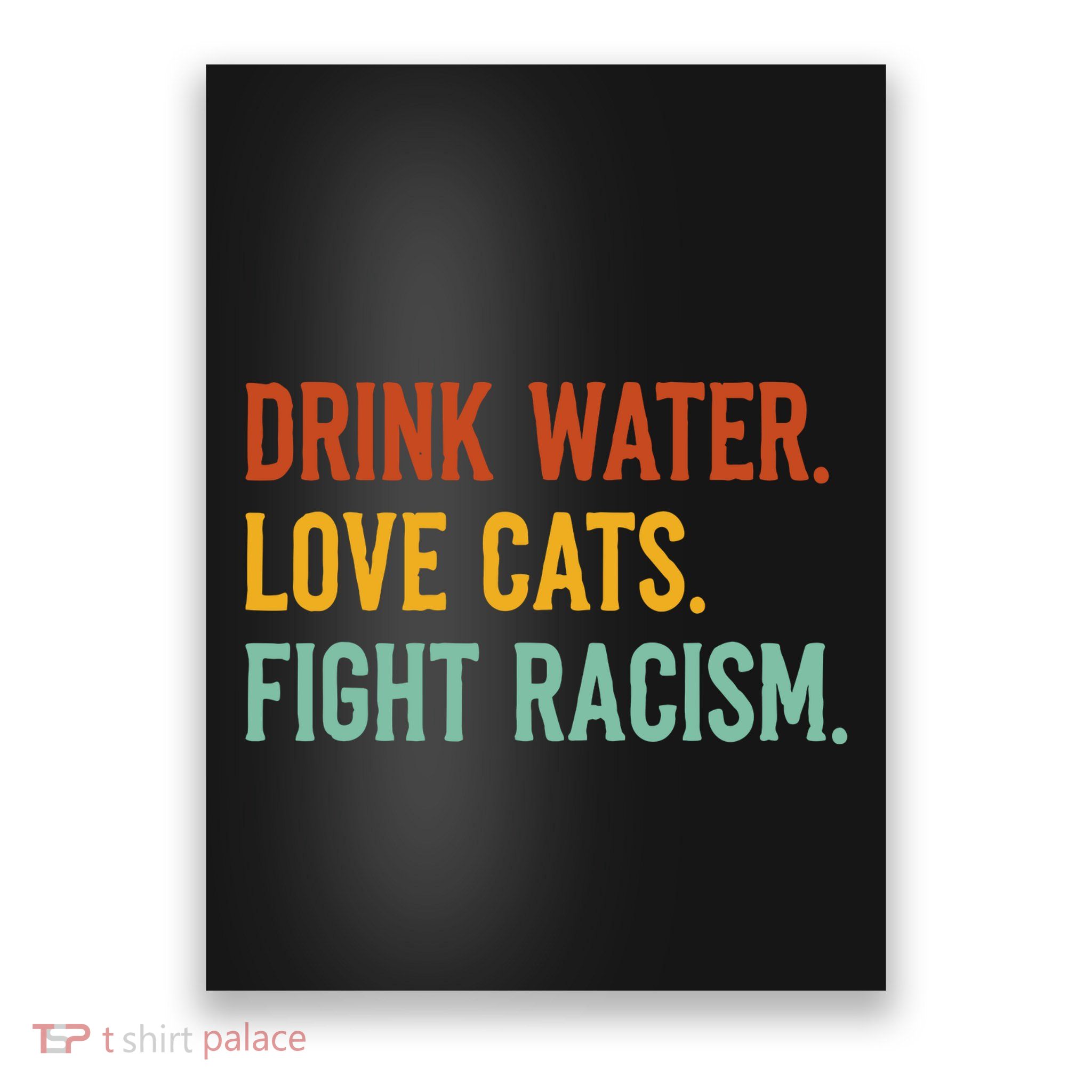 Funny Cat Mom Lover Drink Water Love Cats Fight Racism Poster