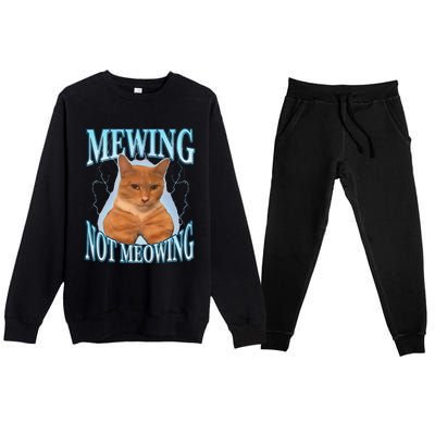 Funny Cat Meme Mewing Looksmax Meowing Cat Trend Premium Crewneck Sweatsuit Set