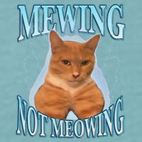 Funny Cat Meme Mewing Looksmax Meowing Cat Trend Sueded Cloud Jersey T-Shirt
