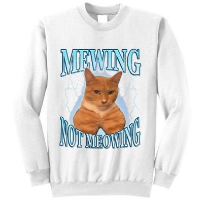 Funny Cat Meme Mewing Looksmax Meowing Cat Trend Sweatshirt