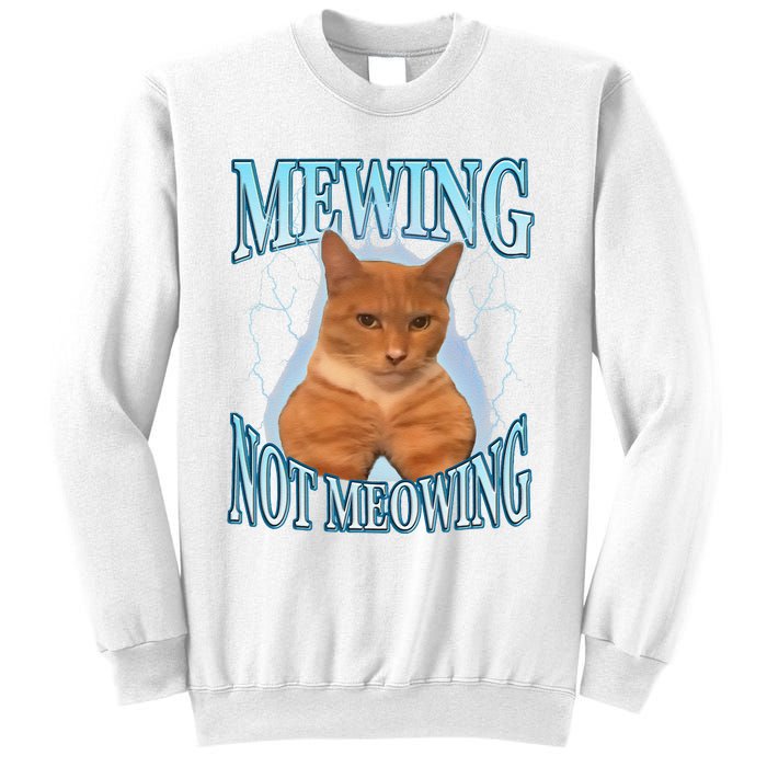 Funny Cat Meme Mewing Looksmax Meowing Cat Trend Sweatshirt