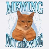 Funny Cat Meme Mewing Looksmax Meowing Cat Trend Bucket Hat