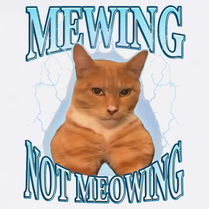 Funny Cat Meme Mewing Looksmax Meowing Cat Trend Bucket Hat