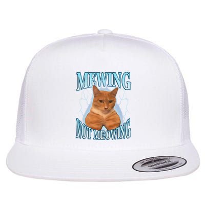 Funny Cat Meme Mewing Looksmax Meowing Cat Trend Flatbill Hat