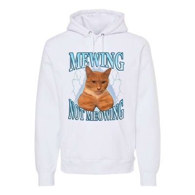 Funny Cat Meme Mewing Looksmax Meowing Cat Trend Premium Hoodie