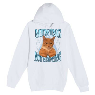 Funny Cat Meme Mewing Looksmax Meowing Cat Trend Premium Pullover Hoodie