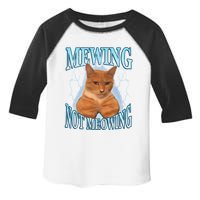 Funny Cat Meme Mewing Looksmax Meowing Cat Trend Toddler Fine Jersey T-Shirt
