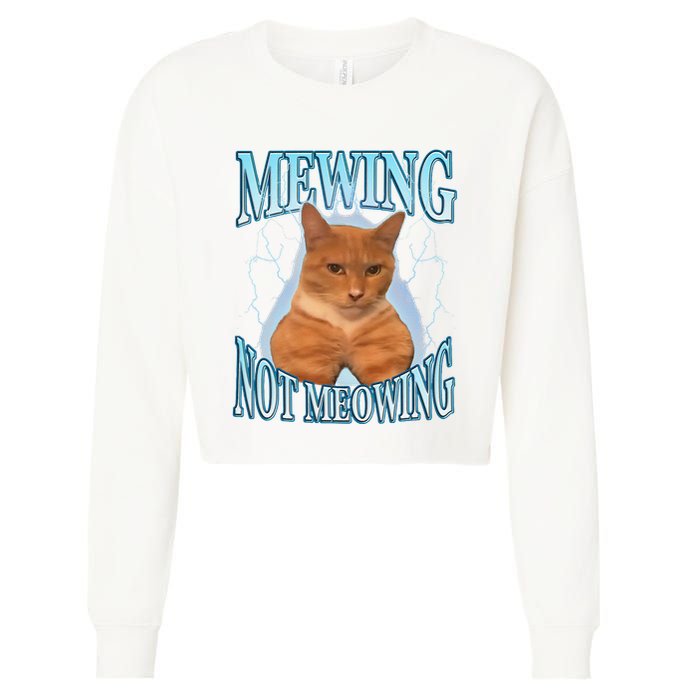 Funny Cat Meme Mewing Looksmax Meowing Cat Trend Cropped Pullover Crew