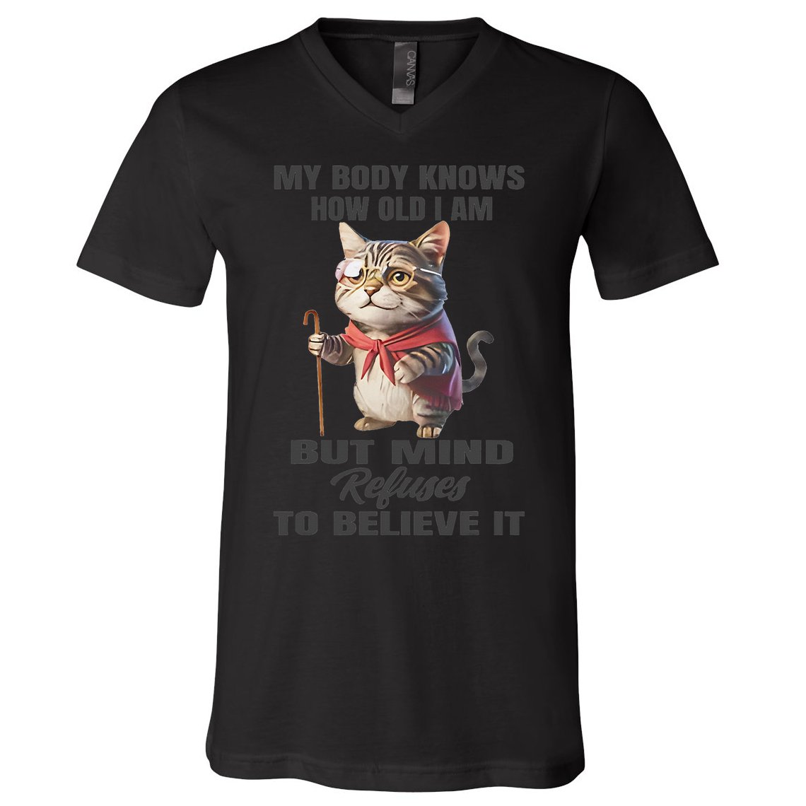 Funny Cat My Body Knows How Old I Am But Mind Refuses V-Neck T-Shirt