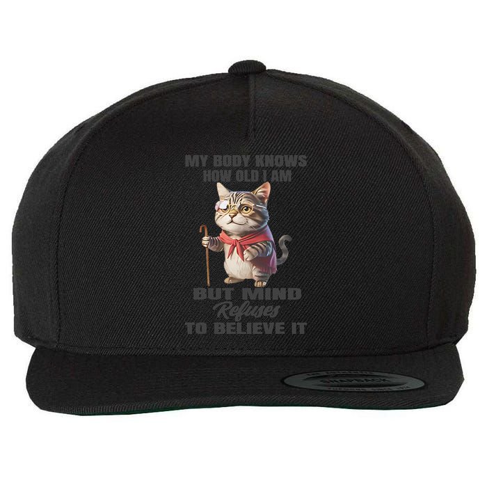Funny Cat My Body Knows How Old I Am But Mind Refuses Wool Snapback Cap
