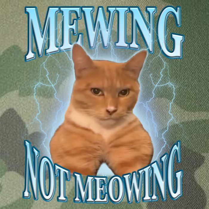 Funny Cat Meme With Meowing Looksmax Meowing Cat Legacy Tie Dye Trucker Hat