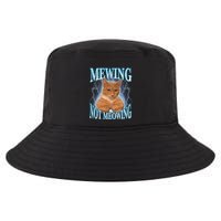 Funny Cat Meme With Meowing Looksmax Meowing Cat Cool Comfort Performance Bucket Hat