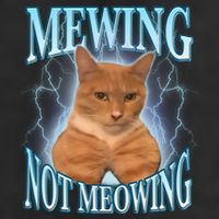Funny Cat Meme With Meowing Looksmax Meowing Cat Cool Comfort Performance Bucket Hat
