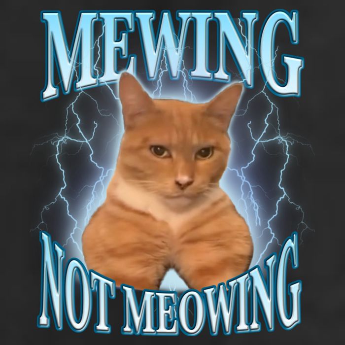 Funny Cat Meme With Meowing Looksmax Meowing Cat Cool Comfort Performance Bucket Hat