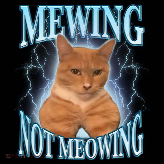 Funny Cat Meme With Meowing Looksmax Meowing Cat Flexfit Unipanel Trucker Cap