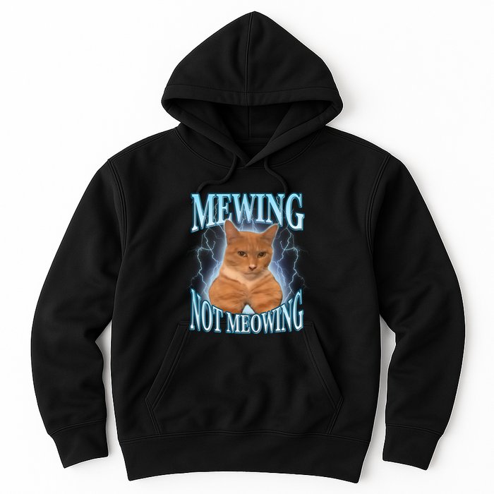 Funny Cat Meme With Meowing Looksmax Meowing Cat Hoodie