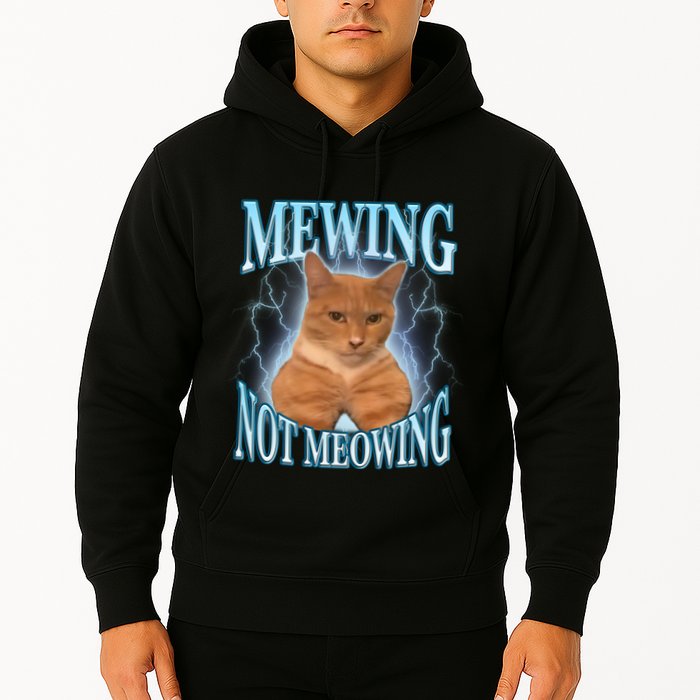Funny Cat Meme With Meowing Looksmax Meowing Cat Hoodie