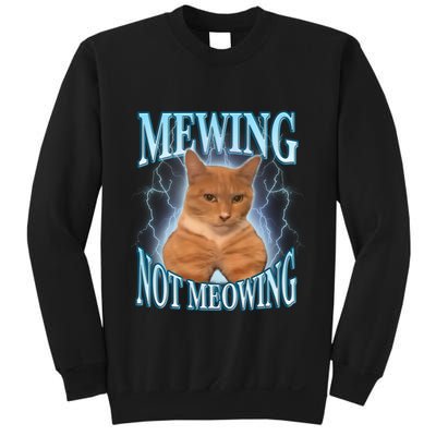 Funny Cat Meme With Meowing Looksmax Meowing Cat Sweatshirt
