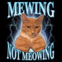 Funny Cat Meme With Meowing Looksmax Meowing Cat Drawstring Bag