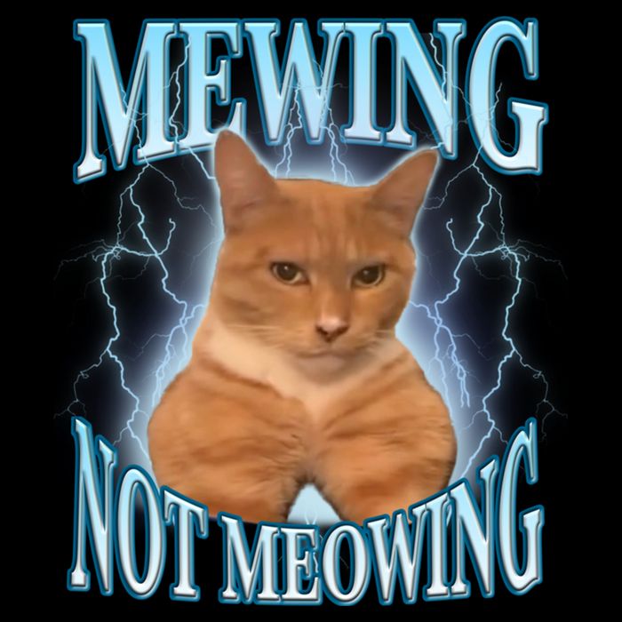 Funny Cat Meme With Meowing Looksmax Meowing Cat Drawstring Bag