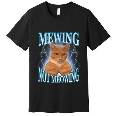 Funny Cat Meme With Meowing Looksmax Meowing Cat Premium T-Shirt