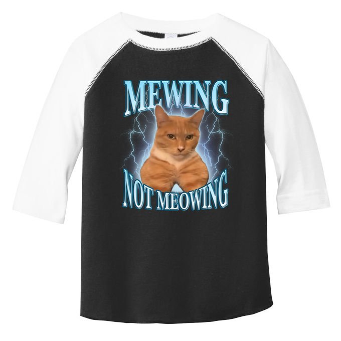 Funny Cat Meme With Meowing Looksmax Meowing Cat Toddler Fine Jersey T-Shirt