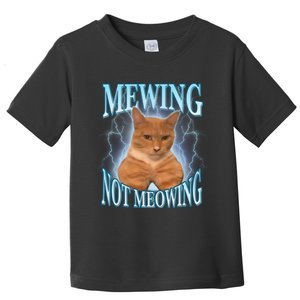 Funny Cat Meme With Meowing Looksmax Meowing Cat Toddler T-Shirt