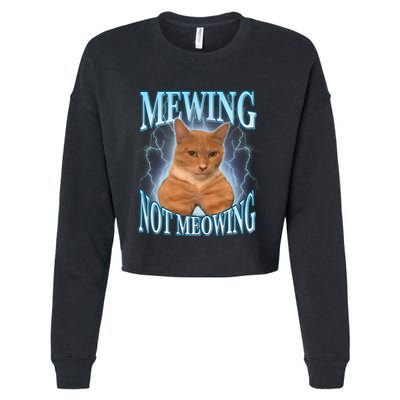 Funny Cat Meme With Meowing Looksmax Meowing Cat Cropped Pullover Crew