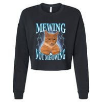 Funny Cat Meme With Meowing Looksmax Meowing Cat Cropped Pullover Crew