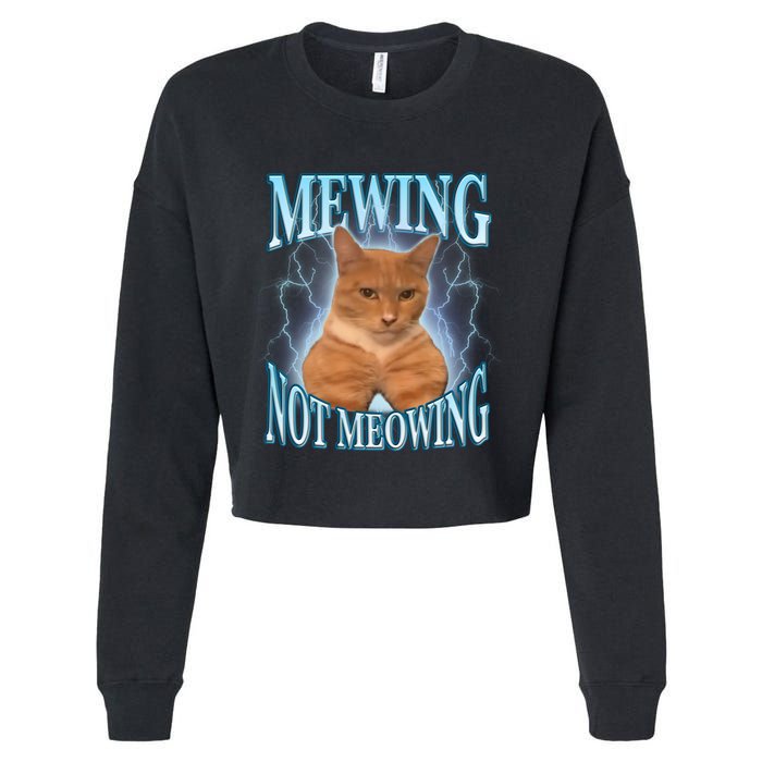 Funny Cat Meme With Meowing Looksmax Meowing Cat Cropped Pullover Crew