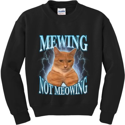 Funny Cat Meme With Meowing Looksmax Meowing Cat Kids Sweatshirt