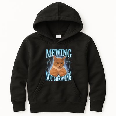 Funny Cat Meme With Meowing Looksmax Meowing Cat Kids Hoodie