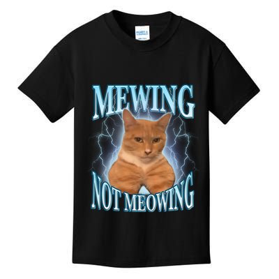 Funny Cat Meme With Meowing Looksmax Meowing Cat Kids T-Shirt