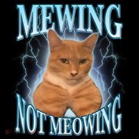 Funny Cat Meme With Meowing Looksmax Meowing Cat Kids T-Shirt
