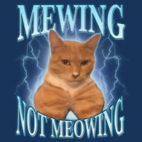 Funny Cat Meme With Meowing Looksmax Meowing Cat Infant Baby Jersey Bodysuit