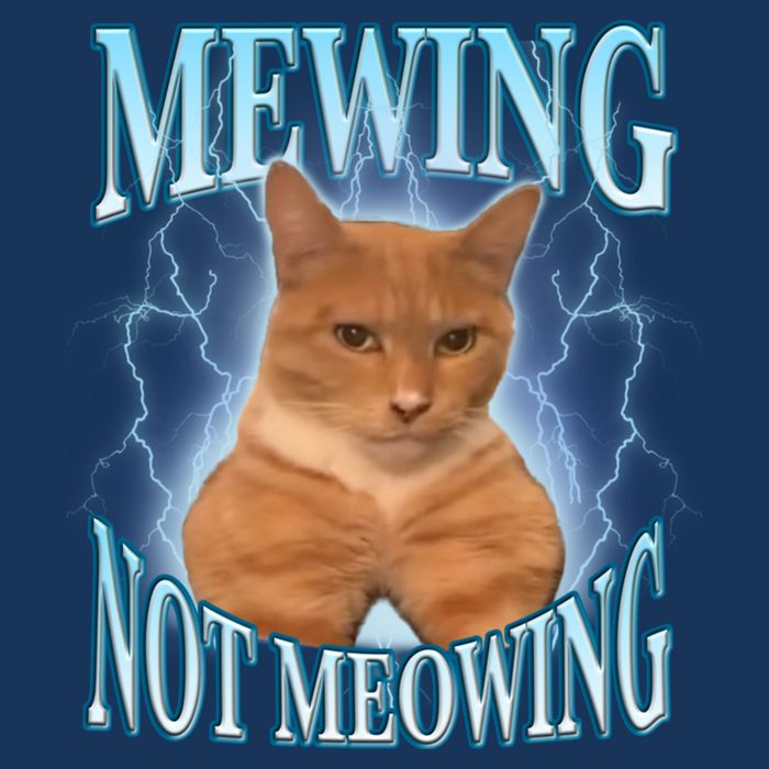 Funny Cat Meme With Meowing Looksmax Meowing Cat Infant Baby Jersey Bodysuit