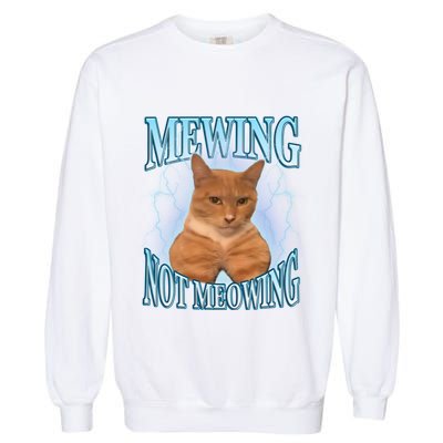 Funny Cat Meme With Meowing Looksmax Meowing Cat Garment-Dyed Sweatshirt