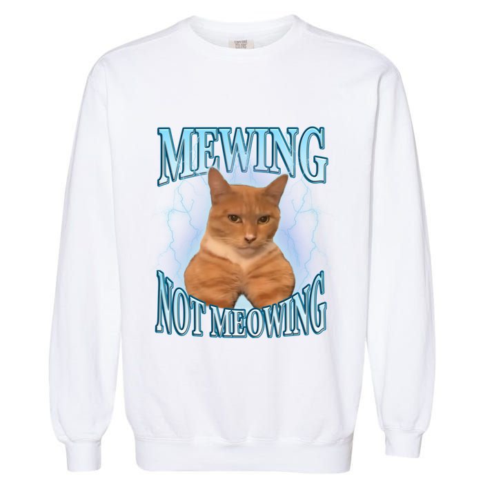 Funny Cat Meme With Meowing Looksmax Meowing Cat Garment-Dyed Sweatshirt