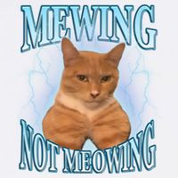 Funny Cat Meme With Meowing Looksmax Meowing Cat Garment-Dyed Sweatshirt