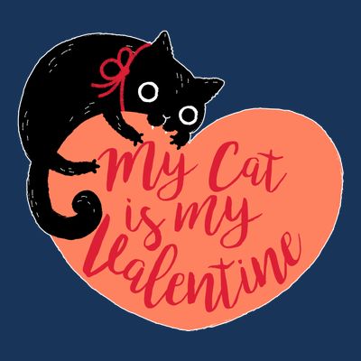 Funny Cute My Cat Is My Valentine T-Shirt