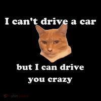 Funny Cat Meme Mousepad