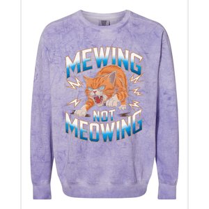 Funny Cat Meme Mewing Not Meowing Looksmax Cat Trend Colorblast Crewneck Sweatshirt