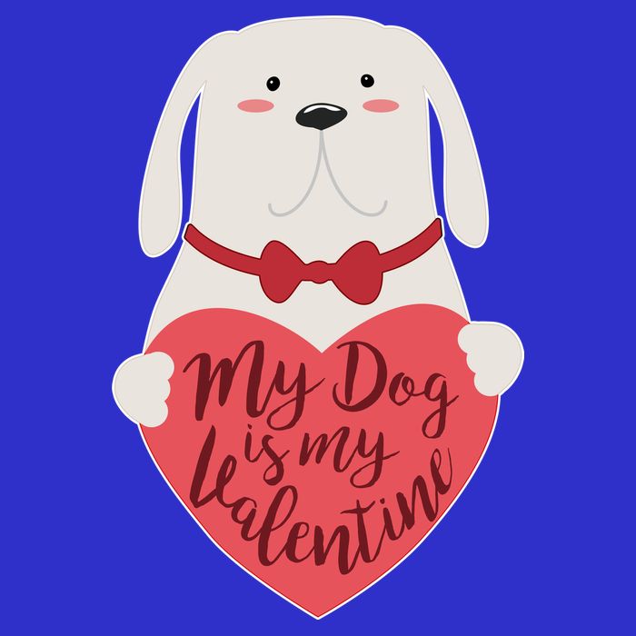 Funny Cute My Dog Is My Valentine Long Sleeve Shirt