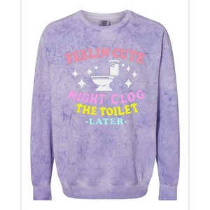 Feelin Cute Might Clog The Toilet Later Funny Saying Colorblast Crewneck Sweatshirt