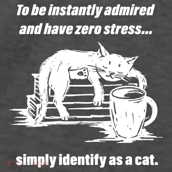 Funny Cat Meme To Have Vector Backpack