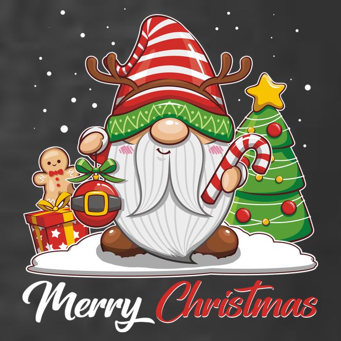 Funny Cute Merry Christmas Gnome T-Shirt
