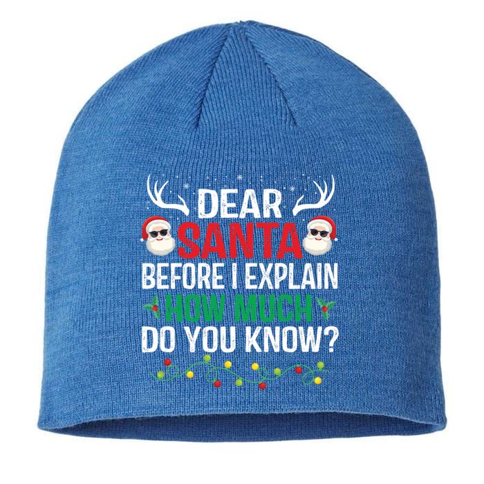 Funny Christmas Meaningful Gift Adults Dear Santa I Can Explain Meaningful Gift Sustainable Beanie