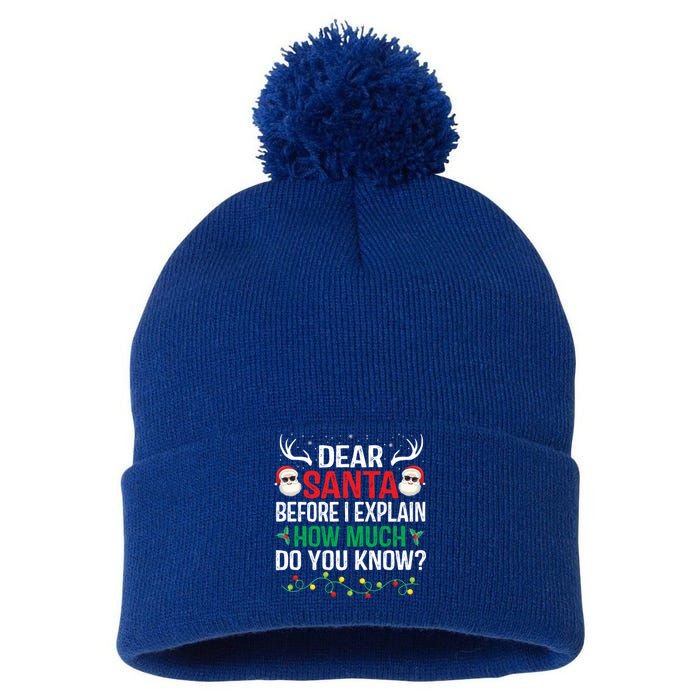 Funny Christmas Meaningful Gift Adults Dear Santa I Can Explain Meaningful Gift Pom Pom 12in Knit Beanie