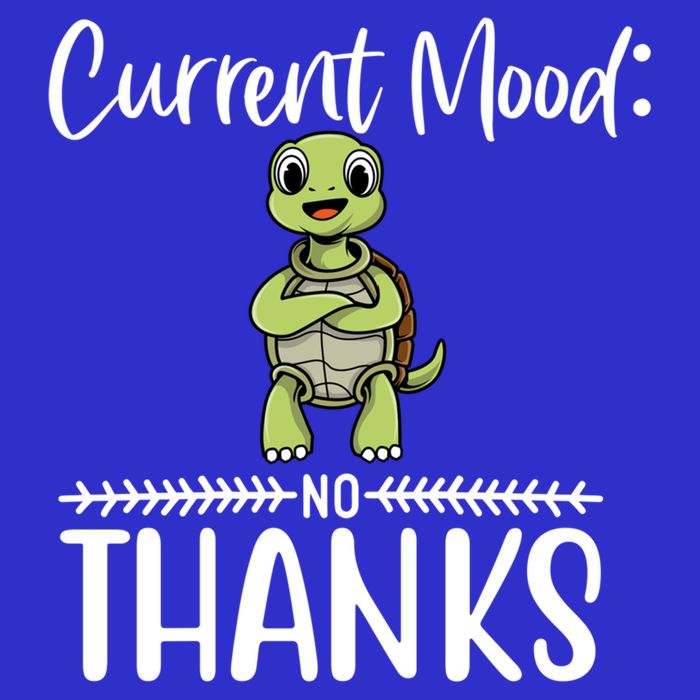 Funny Current Mood No Thanks Cute Turtle Lover Gift 16 in Basic Backpack